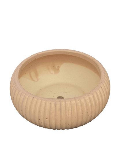 כד קקטוסים מעוצב ורוד קוטר 14 ס״מ - רוטין (ירוק במרפסת לשעבר)