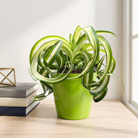 כד קרמיקה חלק ירוק קוטר 13