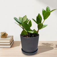 כד פסים שחור קוטר 13 + תחתית