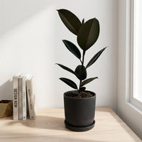 כד פסים שחור קוטר 13 + תחתית