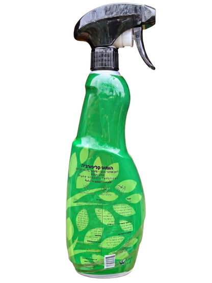 הומוס קליפורניה-2-nan.png.png