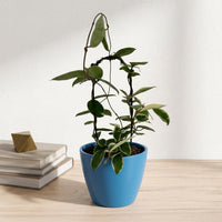 כד קרמיקה חלק כחול קוטר 13