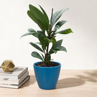 כד קרמיקה חלק כחול קוטר 13