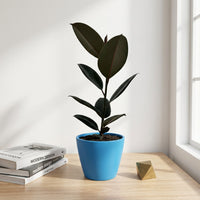 כד קרמיקה חלק כחול קוטר 13