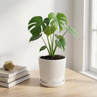 כד פסים לבן קוטר 13 + תחתית