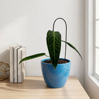 כד קרמיקה חלק כחול קוטר 13