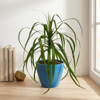 כד קרמיקה חלק כחול קוטר 13