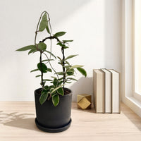 כד פסים שחור קוטר 13 + תחתית