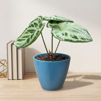 כד קרמיקה חלק כחול קוטר 13