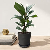 כד פסים שחור קוטר 13 + תחתית