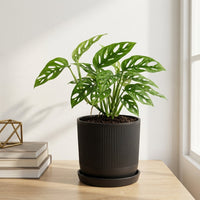 כד פסים שחור קוטר 13 + תחתית