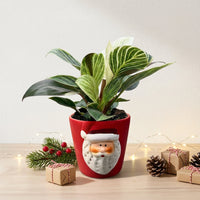 עציץ קרמיקה סנטה קלאוס | קוטר 9