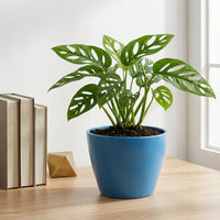 כד קרמיקה חלק כחול קוטר 13