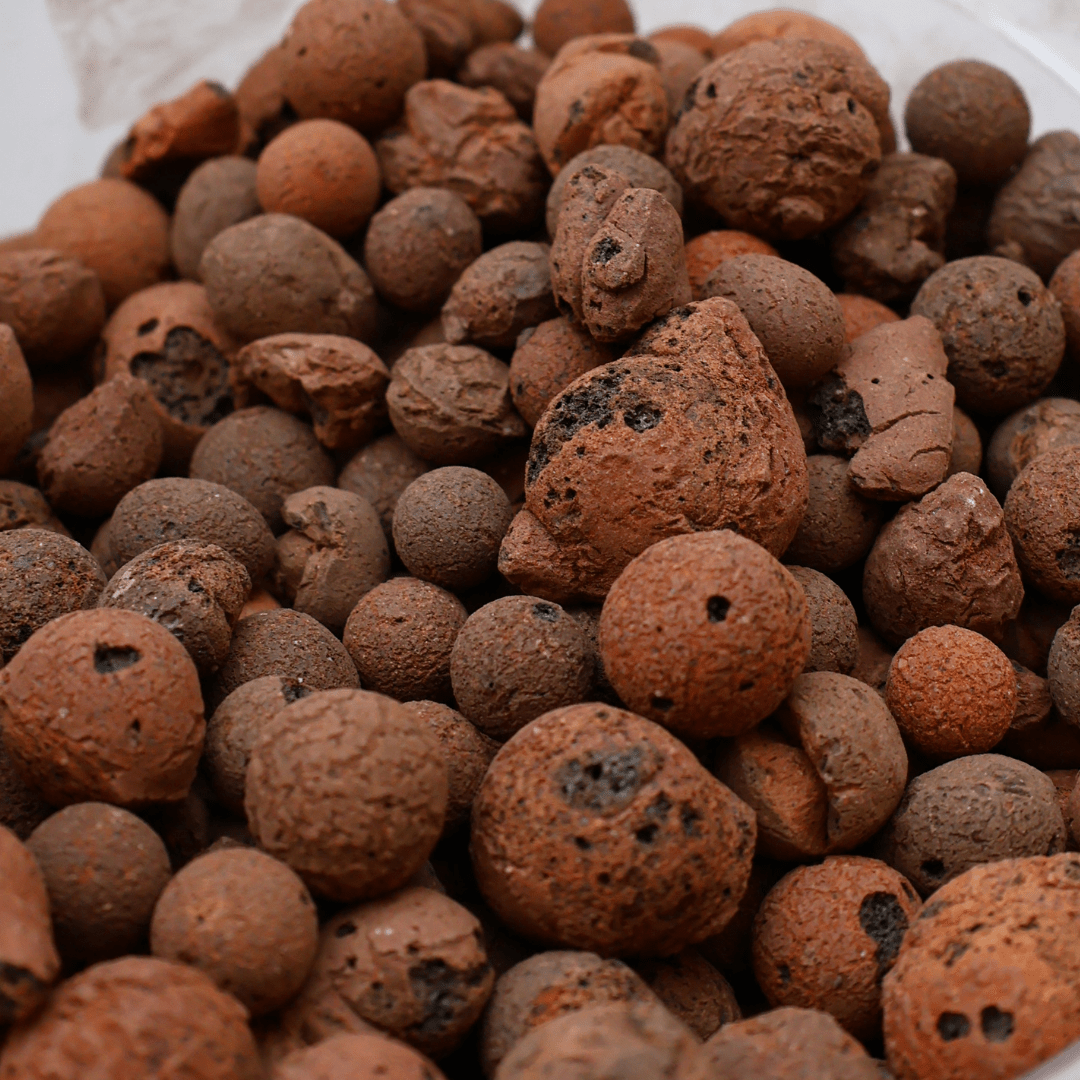 כדורי לקה (הידרוטון) - 1 ליטר - רוטין (ירוק במרפסת לשעבר)