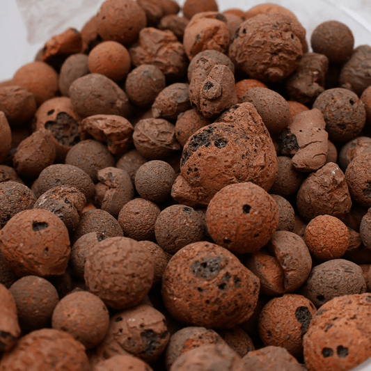 כדורי לקה (הידרוטון) - 1 ליטר - רוטין (ירוק במרפסת לשעבר)