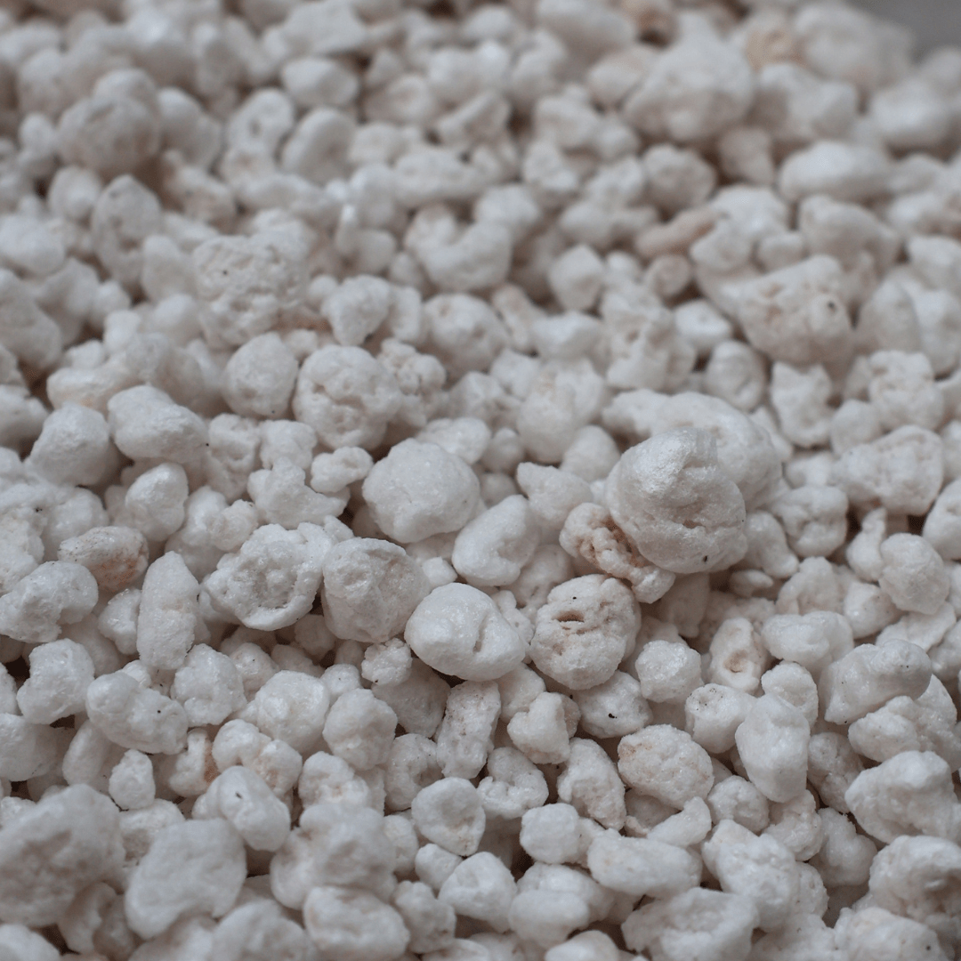 פרלייט 1 ליטר - רוטין (ירוק במרפסת לשעבר)