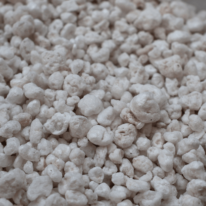 פרלייט 1 ליטר - רוטין (ירוק במרפסת לשעבר)