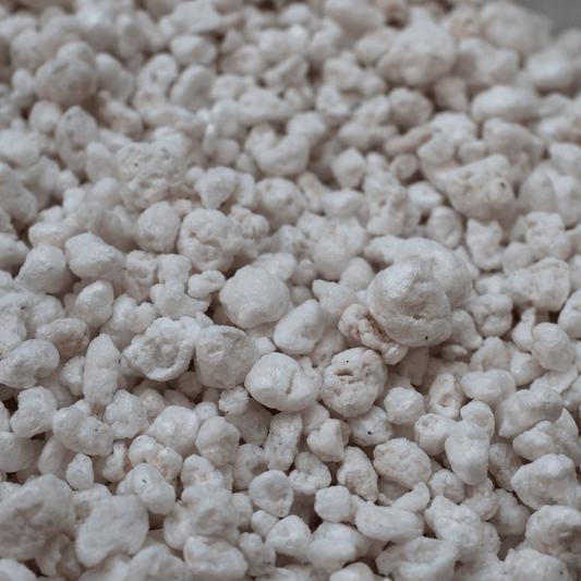 פרלייט 1 ליטר - רוטין (ירוק במרפסת לשעבר)