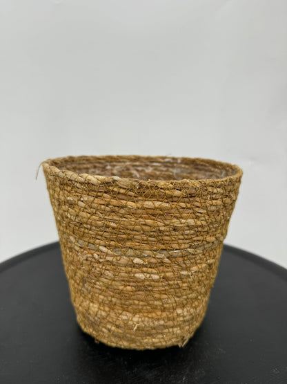 עציץ קש קוטר 13\16\22 ס״מ - רוטין (ירוק במרפסת לשעבר)