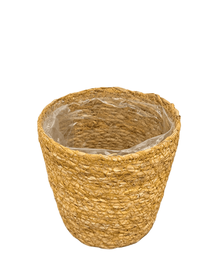 עציץ קש קוטר 13\16\22 ס״מ - רוטין (ירוק במרפסת לשעבר)