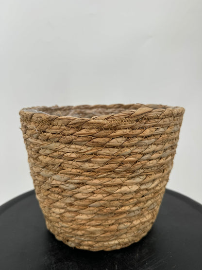 עציץ קש קוטר 13\16\22 ס״מ - רוטין (ירוק במרפסת לשעבר)