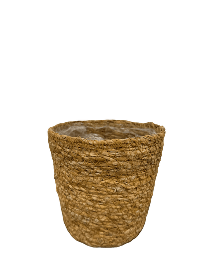 עציץ קש קוטר 13\16\22 ס״מ - רוטין (ירוק במרפסת לשעבר)