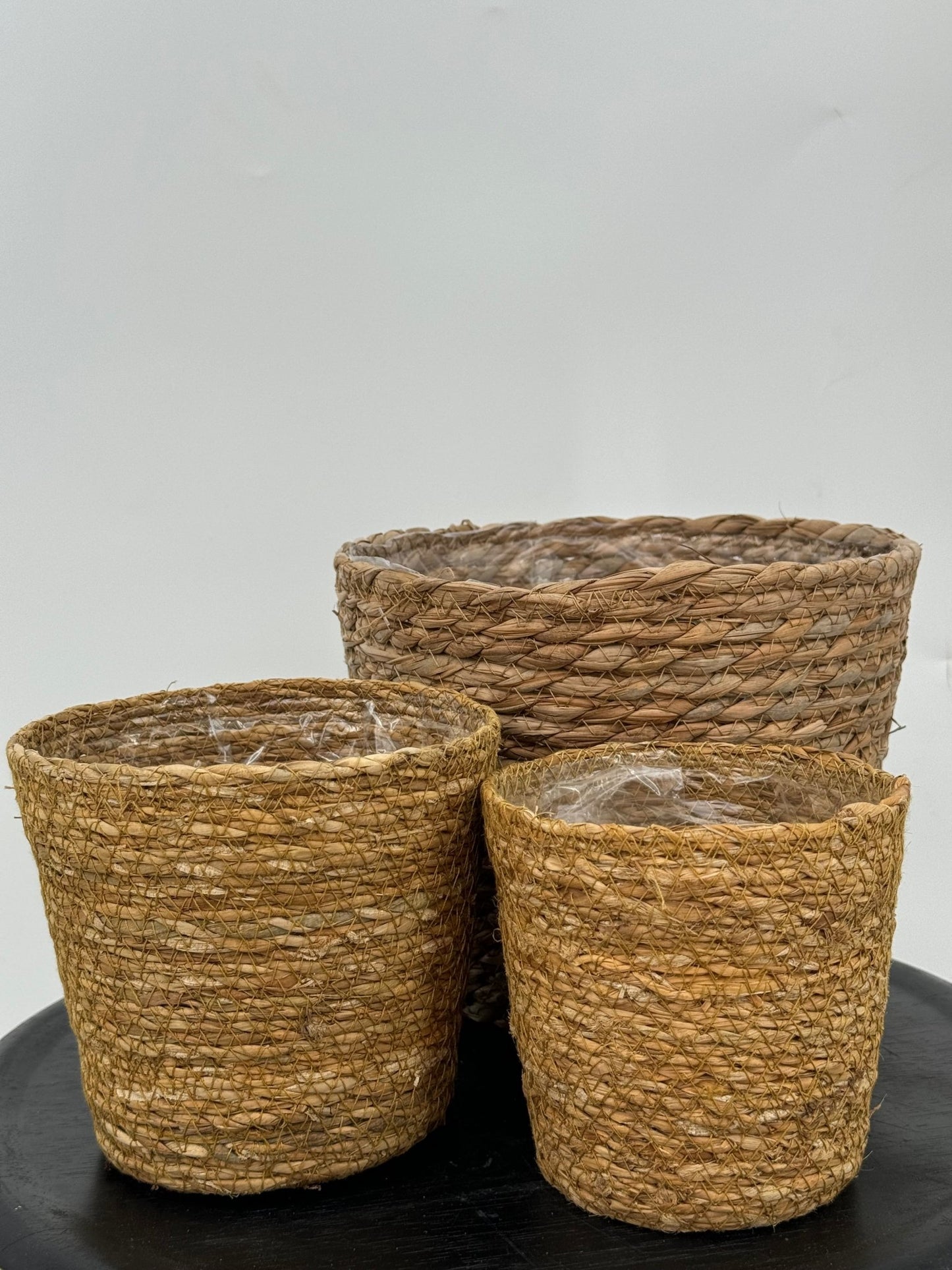 עציץ קש קוטר 13\16\22 ס״מ - רוטין (ירוק במרפסת לשעבר)