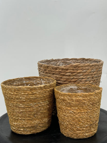 עציץ קש קוטר 13\16\22 ס״מ - רוטין (ירוק במרפסת לשעבר)