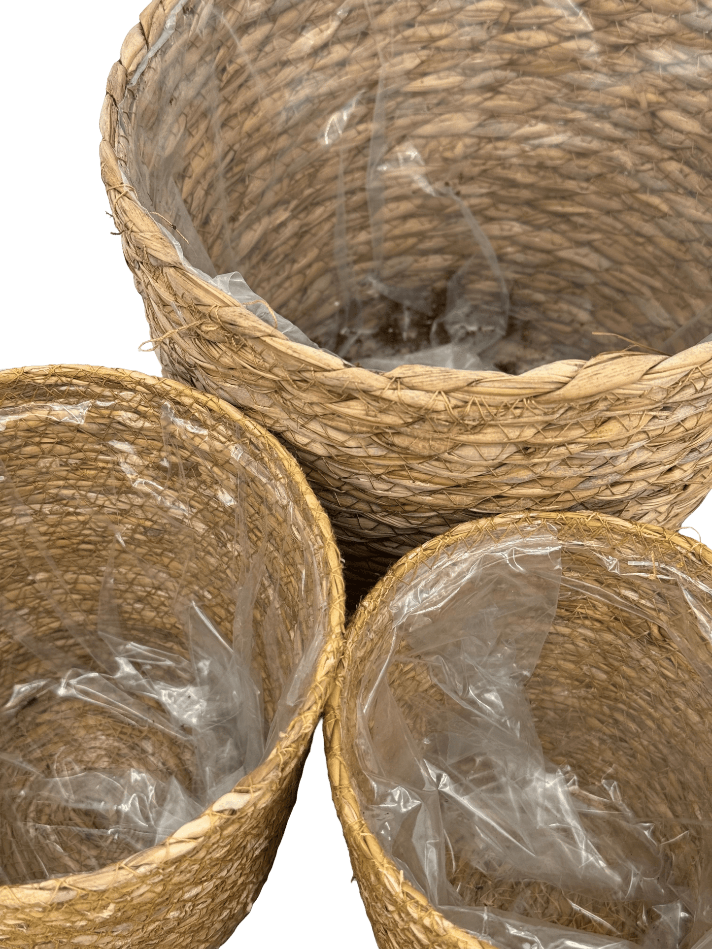 עציץ קש קוטר 13\16\22 ס״מ - רוטין (ירוק במרפסת לשעבר)