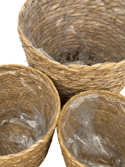 עציץ קש קוטר 13\16\22 ס״מ - רוטין (ירוק במרפסת לשעבר)