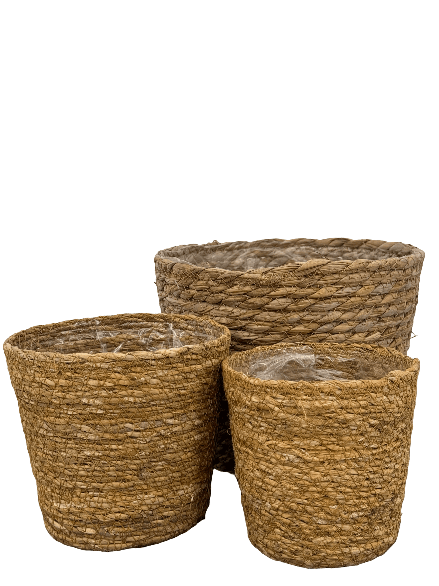 עציץ קש קוטר 13\16\22 ס״מ - רוטין (ירוק במרפסת לשעבר)