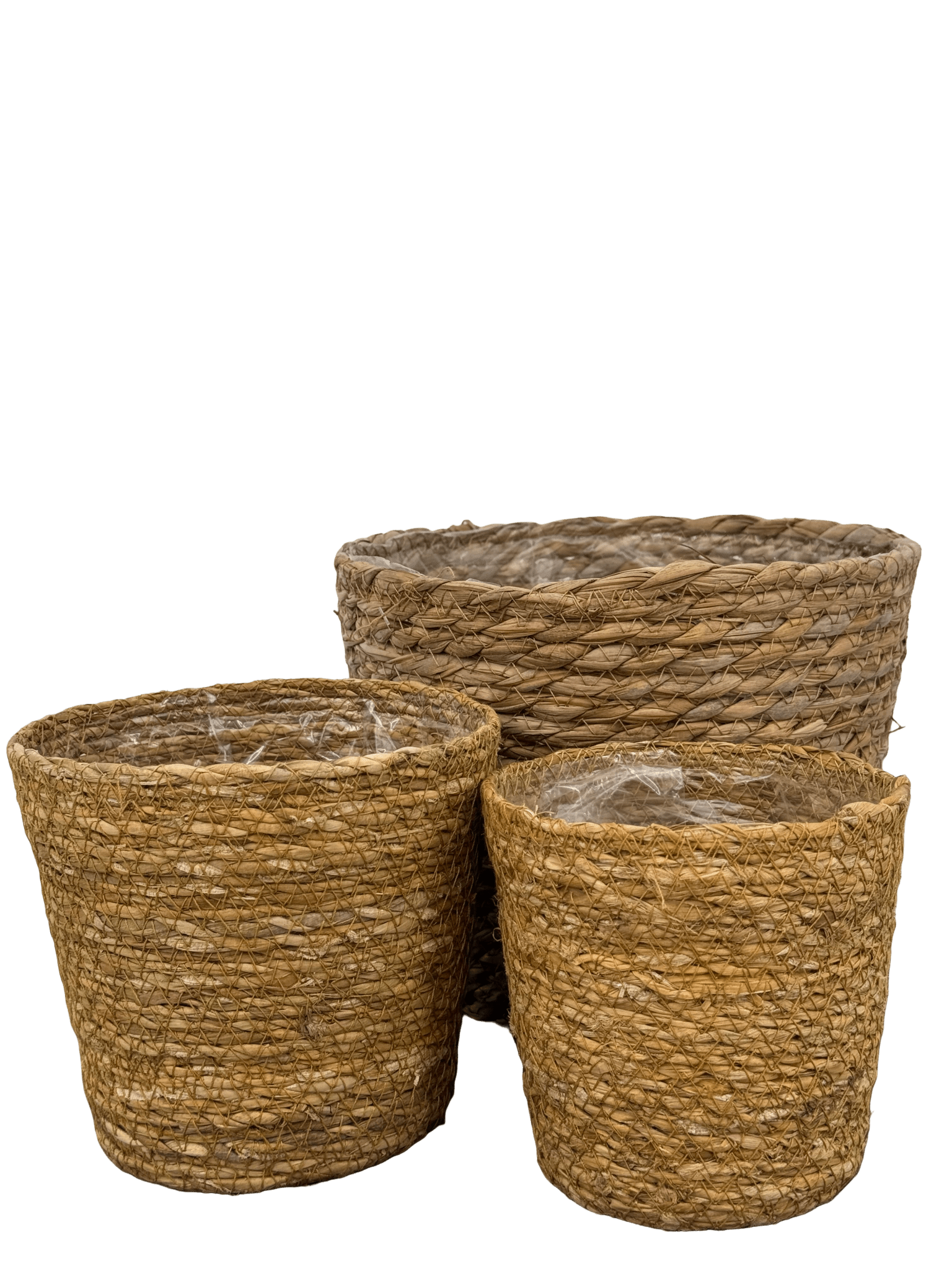 עציץ קש קוטר 13\16\22 ס״מ - רוטין (ירוק במרפסת לשעבר)