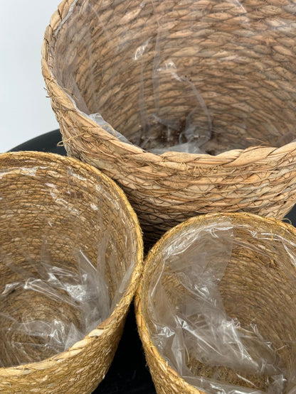 עציץ קש קוטר 13\16\22 ס״מ - רוטין (ירוק במרפסת לשעבר)