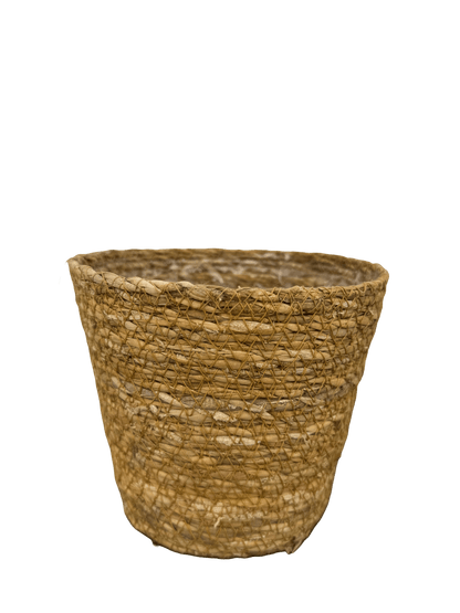 עציץ קש קוטר 13\16\22 ס״מ - רוטין (ירוק במרפסת לשעבר)