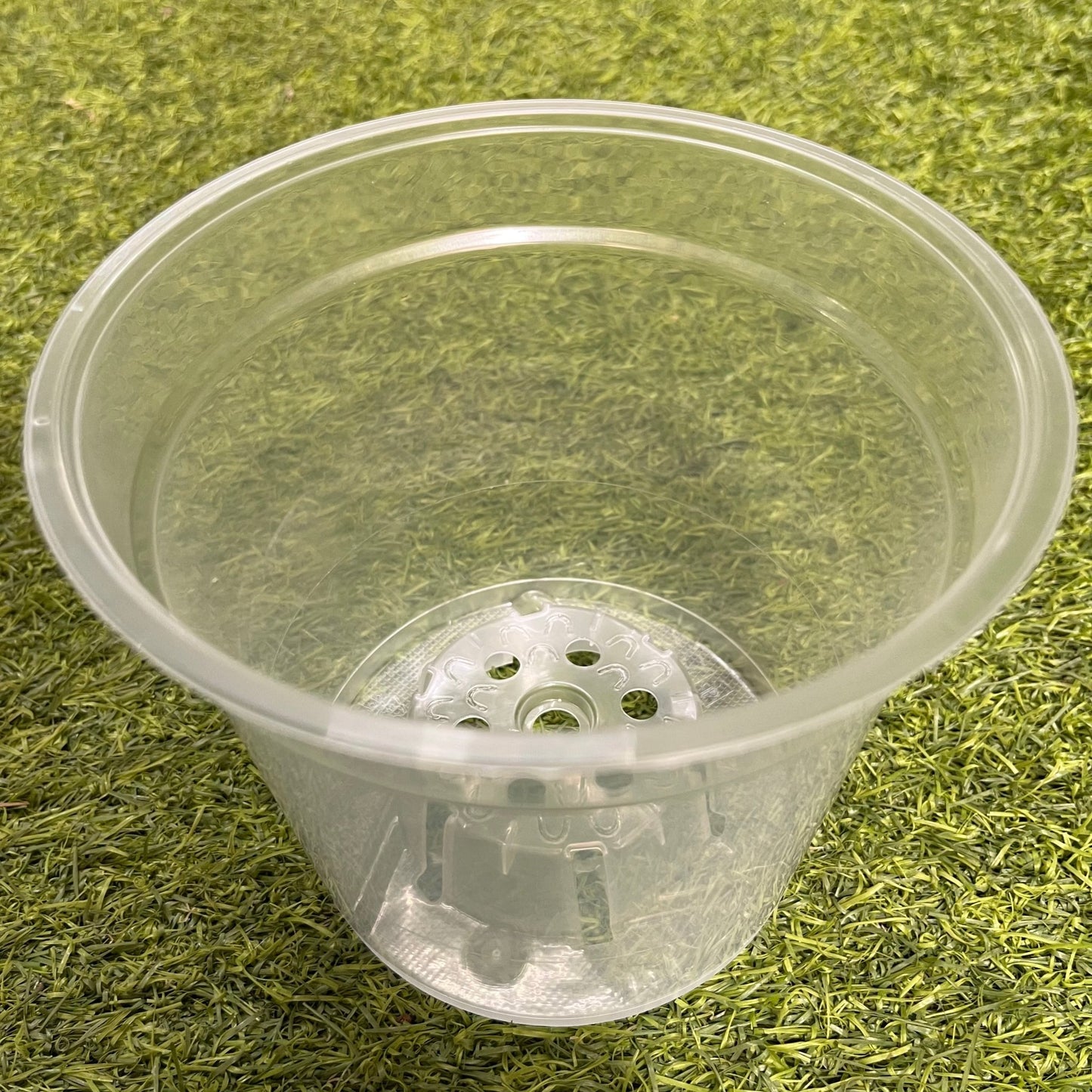 עציץ מגדלים שקוף במגוון גדלים - רוטין (ירוק במרפסת לשעבר)