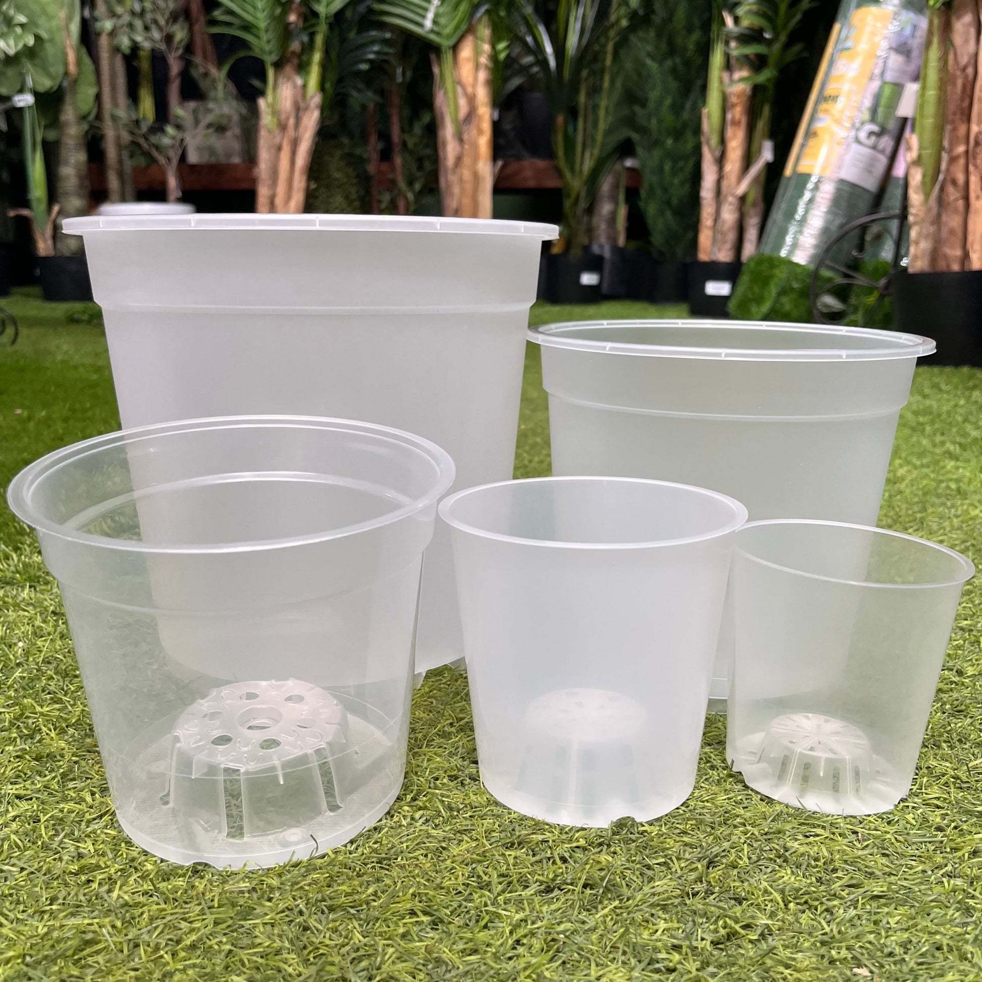 עציץ מגדלים שקוף במגוון גדלים - רוטין (ירוק במרפסת לשעבר)