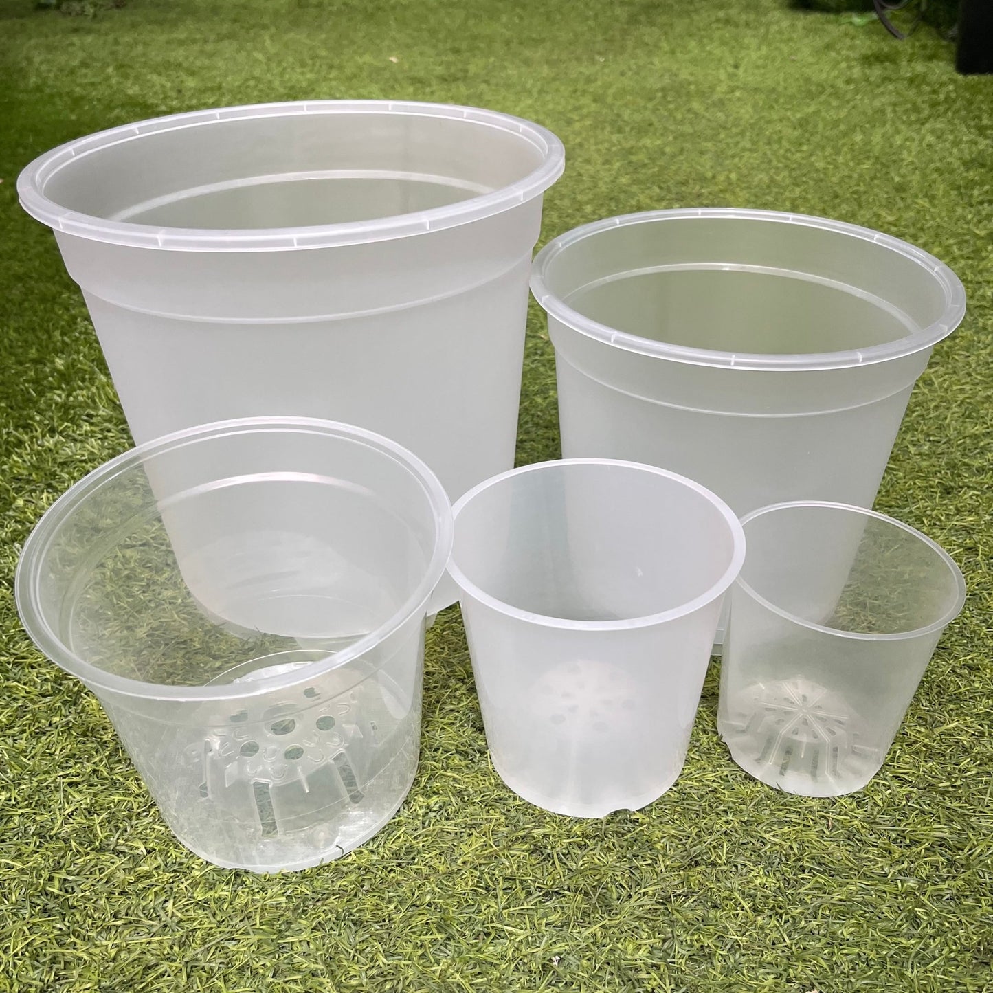 עציץ מגדלים שקוף במגוון גדלים - רוטין (ירוק במרפסת לשעבר)