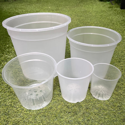 עציץ מגדלים שקוף במגוון גדלים - רוטין (ירוק במרפסת לשעבר)