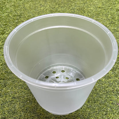 עציץ מגדלים שקוף במגוון גדלים - רוטין (ירוק במרפסת לשעבר)