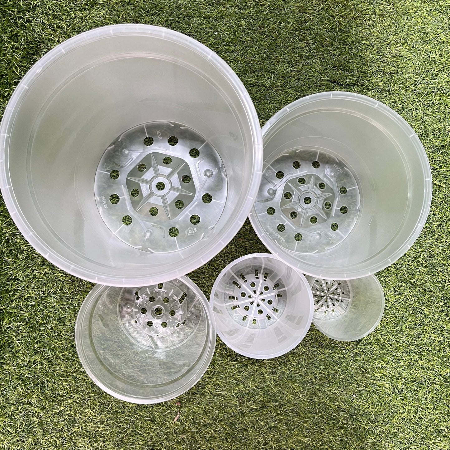 עציץ מגדלים שקוף במגוון גדלים - רוטין (ירוק במרפסת לשעבר)