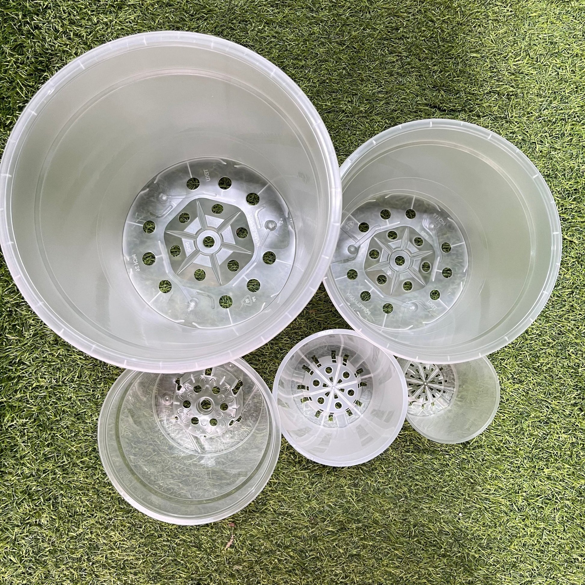 עציץ מגדלים שקוף במגוון גדלים - רוטין (ירוק במרפסת לשעבר)