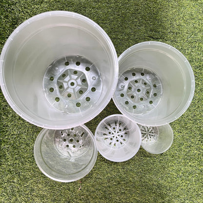 עציץ מגדלים שקוף במגוון גדלים - רוטין (ירוק במרפסת לשעבר)