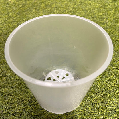 עציץ מגדלים שקוף במגוון גדלים - רוטין (ירוק במרפסת לשעבר)