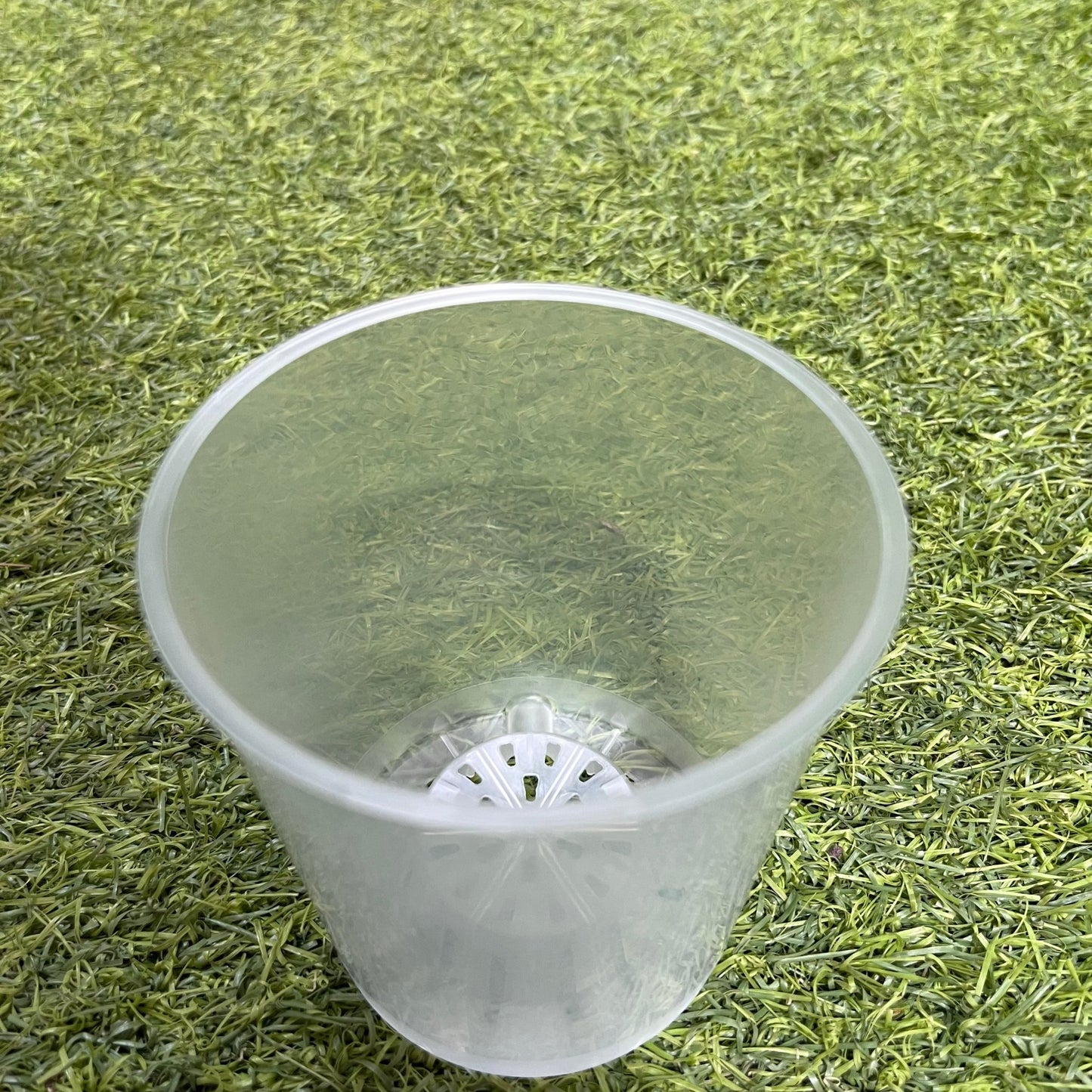 עציץ מגדלים שקוף במגוון גדלים - רוטין (ירוק במרפסת לשעבר)