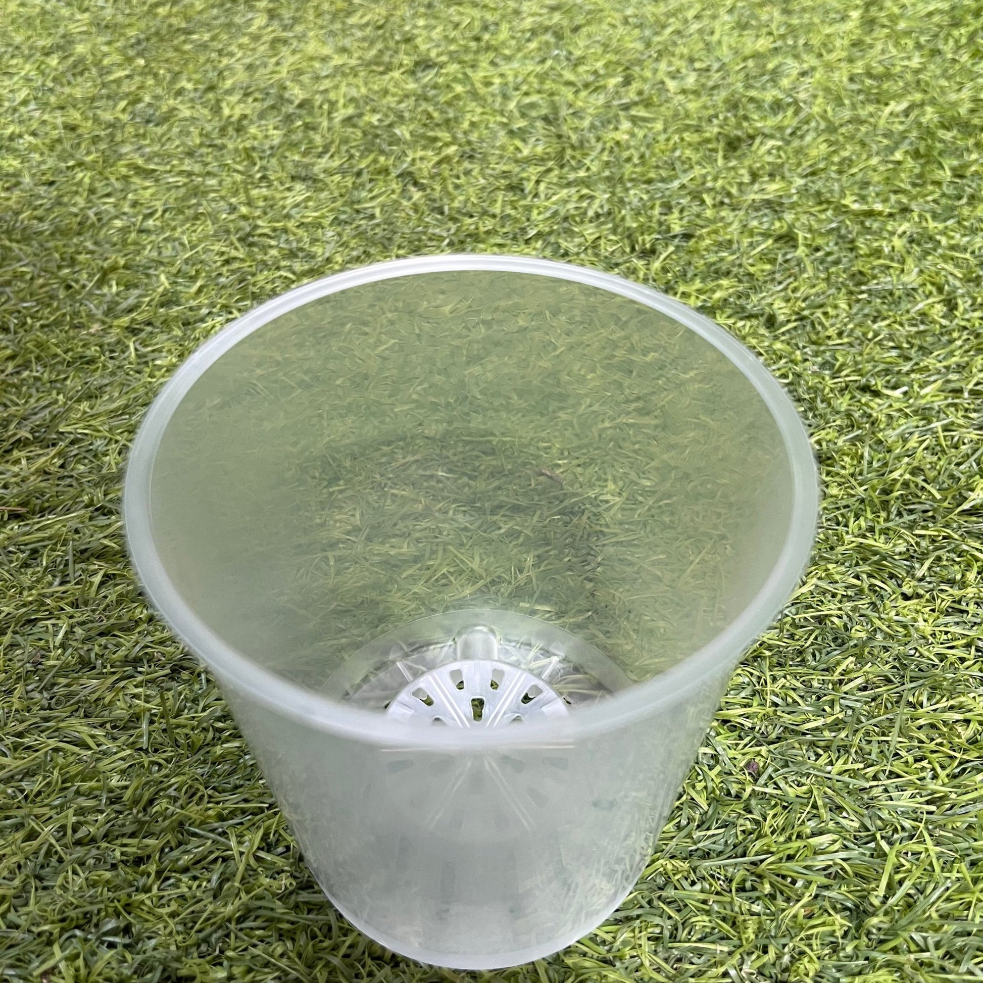 עציץ מגדלים שקוף במגוון גדלים - רוטין (ירוק במרפסת לשעבר)