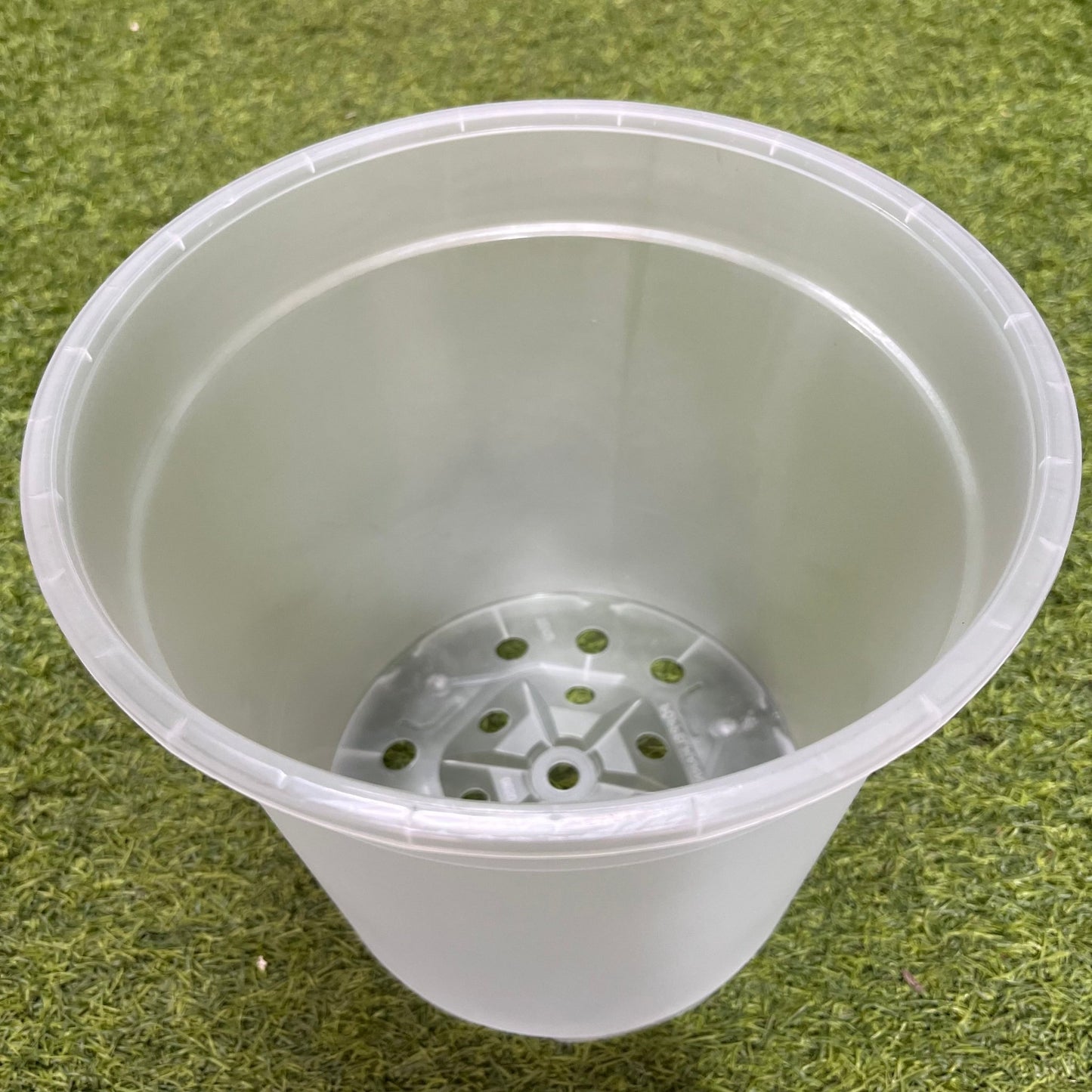 עציץ מגדלים שקוף במגוון גדלים - רוטין (ירוק במרפסת לשעבר)