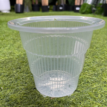 עציץ סחלבים במגוון גדלים - רוטין (ירוק במרפסת לשעבר)