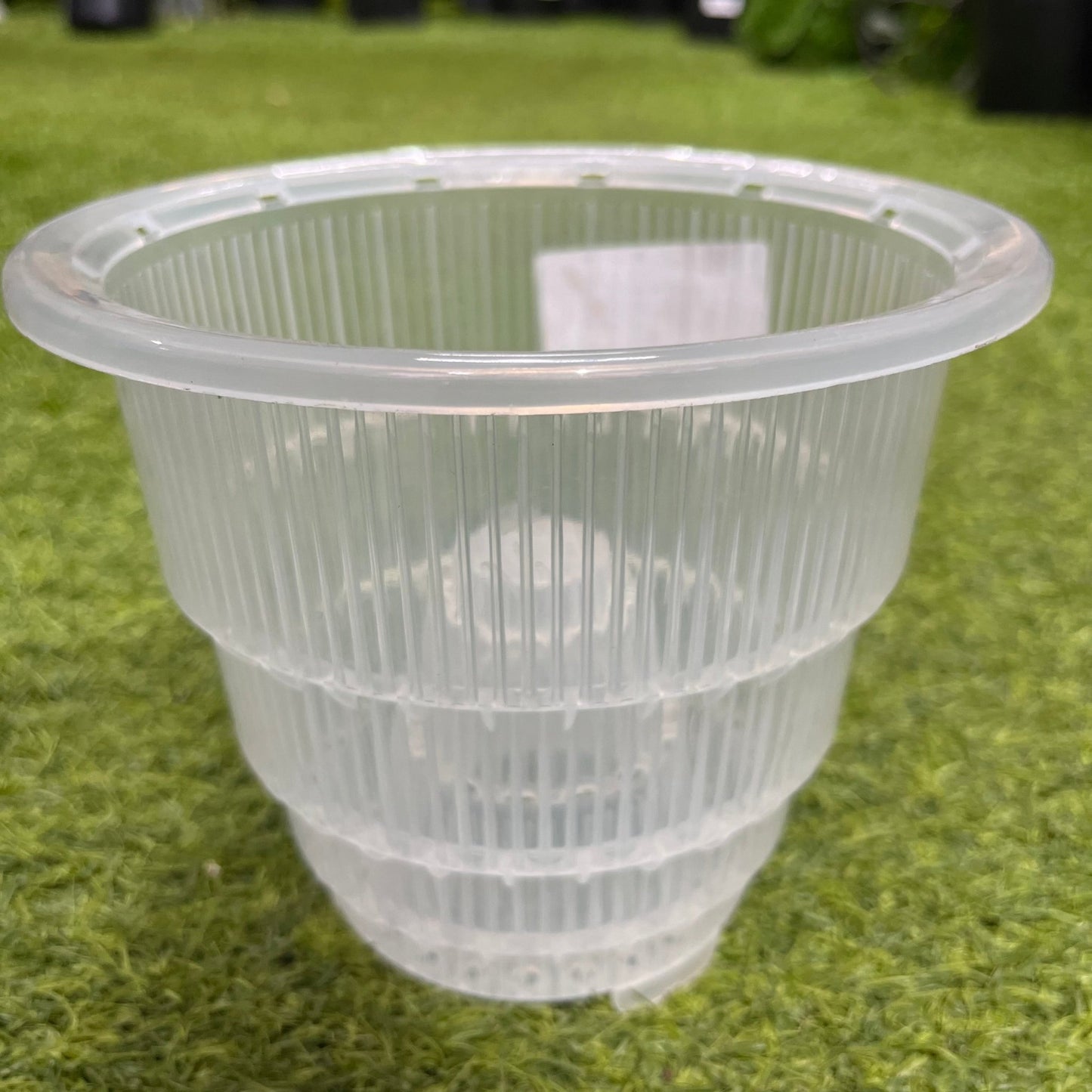 עציץ סחלבים במגוון גדלים - רוטין (ירוק במרפסת לשעבר)