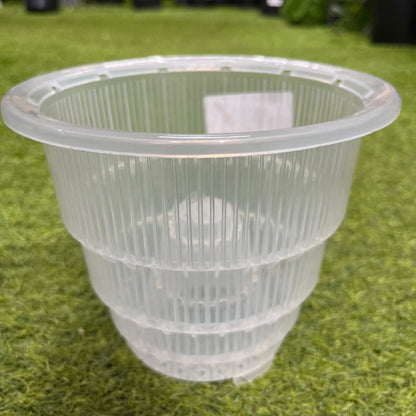 עציץ סחלבים במגוון גדלים - רוטין (ירוק במרפסת לשעבר)