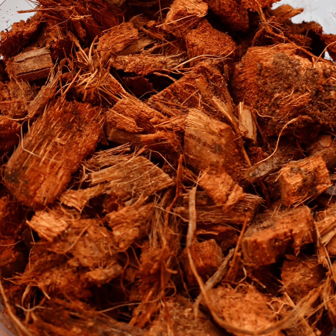 קוקוס גס - 1 ליטר - רוטין (ירוק במרפסת לשעבר)